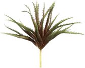 PTMD Succulent Plant Aloe Vera Prikker - 19 x 23 x 26 cm - Rood/Groen