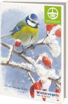 Bekking & Blitz - Kerstkaartenmapje - Set Kerstkaarten - Kunstkaarten - 10 stuks - Inclusief enveloppen - Uniek design - Wintervogels - Elwin van der Kolk - Natuurpunt