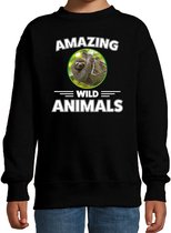 Sweater luiaard - zwart - kinderen - amazing wild animals - cadeau trui luiaard / luiaarden liefhebber 7-8 jaar (122/128)