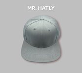 Mr. Hatly - Tailored - Cap - Light Grey - Incognito
