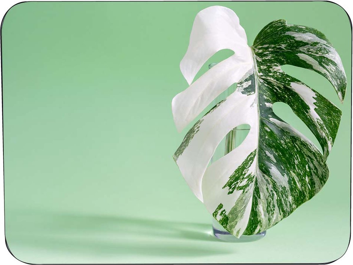 Muismat Kamerplant Rubber - Hoge kwaliteit foto van kamerplant - Muismat gedrukt op polyester - 25 x 19 cm - Antislip muismat - 5mm dik - Muismat met foto - heerlijk voor op kantoor
