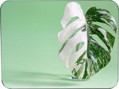 Muismat Kamerplant Rubber - Hoge kwaliteit foto van kamerplant - Muismat gedrukt op polyester - 25 x 19 cm - Antislip muismat - 5mm dik - Muismat met foto - heerlijk voor op kantoo