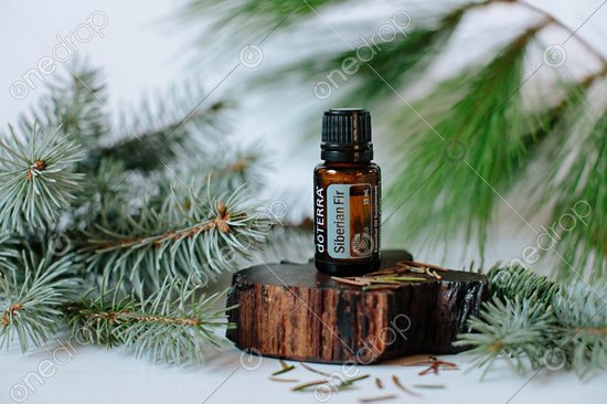 Siberian fir online