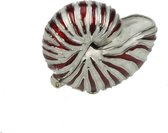 Doosje Schelp nautilus 4x2,6x3,5cm