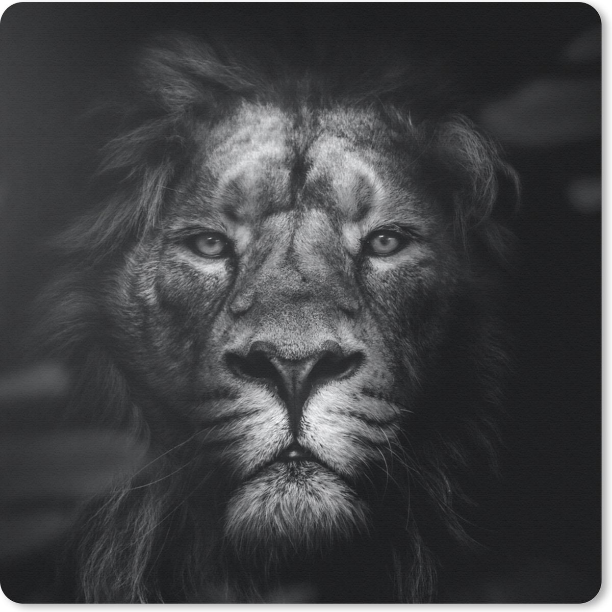 Muismat 30x30 cm - Mousepad Dieren - Leeuw - Roofdier - Zwart - Wit - Muismatten