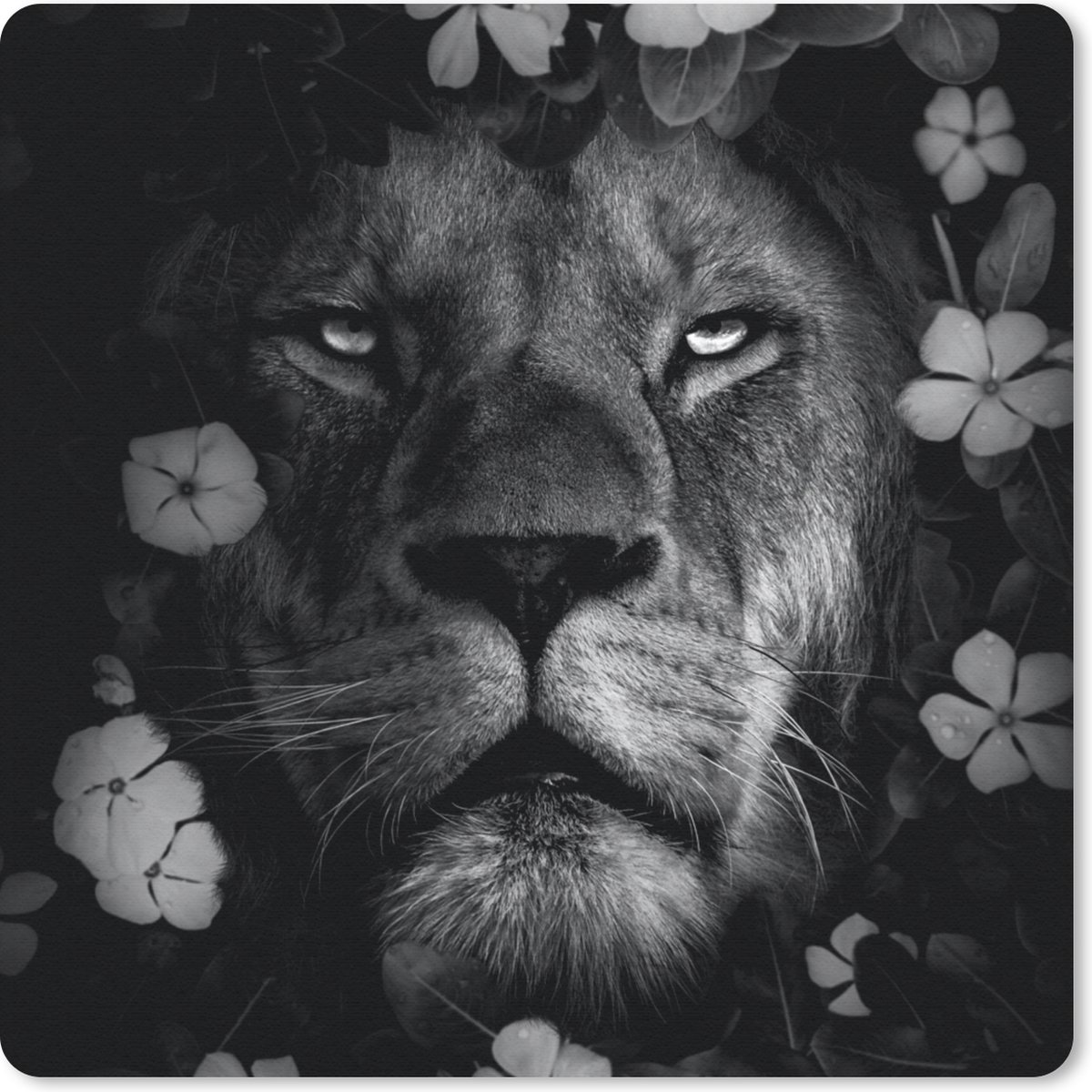 Muismat 30x30 cm - Mousepad Bloemen - Leeuw - Jungle - Zwart - Wit - Muismatten