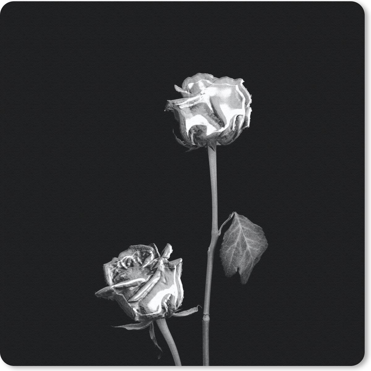 Muismat 30x30 cm - Mousepad Rozen - Bloemen - Zwart - Wit - Muismatten