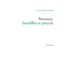 Sursauts Brindilles Et Petards
