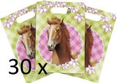 Uitdeelzakjes Paarden roze/groen - 5 x 6 stuks
