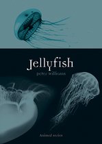 Animal - Jellyfish