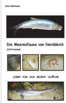 Die Meeresfauna von Norddeich