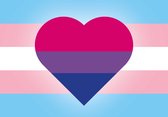 Sticker - Vlagsticker - Trans & Bi - LGBT+ - Regenboog - Pride