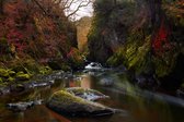 Celtic Tree - Canvas schilderij - Fairy Glen - 60x90cm - Wanddeco - Premium Canvas - Water - Wales - Rots - Herfst - Seizoen - Natuur - Spiritueel - Krachtplaats - Pagan - Heidens