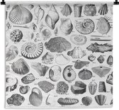Wandkleed - Wanddoek - Illustraties van fossielen uit verschillende tijdperken - 90x90 cm - Wandtapijt