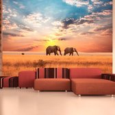 Fotobehang - Afrikaanse savanne olifanten.