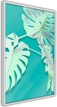 Teal Monstera