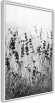 Poster - Shadow of Meadow