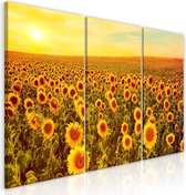 Schilderij - Sunflowers at Sunset (3 Parts).