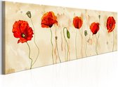 Schilderij - Tears of Poppies.