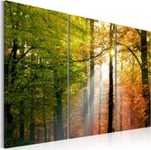 Schilderij - Stil herfstbos.