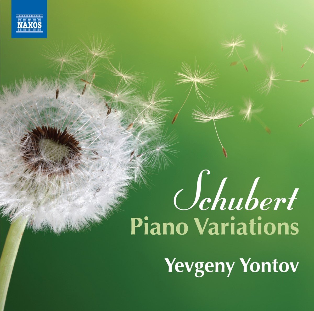 Yevgeny Yontov - Schubert: Piano Variations (CD)