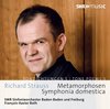 SWF-Sinfonieorchester & Sinfonieorchester Baden-Bad - Strauss: Symphonia Domestica Metarmophosen (CD)