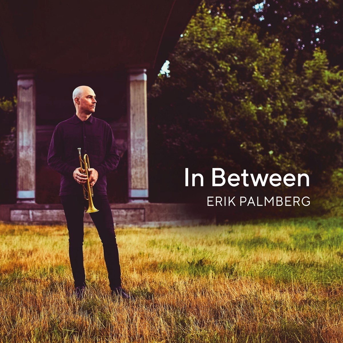 Erik Palmberg, Anton Dromberg, Niklas Wennstrom - In Between (CD)