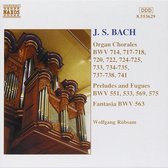 Wolfgang Rübsam - Organ Chorales / Preludes & Fugues (CD)