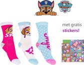 PAW Patrol Sokken | 3 Paar | Meisjes | Maat 23-26 | Met Gratis Stickers!
