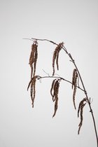 Kunsttak - Amaranthus - topkwaliteit decoratie - 2 stuks - zijden tak - Bruin - 97 cm hoog