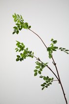 Kunsttak - grote bladeren - topkwaliteit decoratie - 2 stuks - zijden plant - Groen - 122 cm hoog