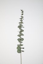 Kunstplant - Eucalyptus - topkwaliteit decoratie - 2 stuks - zijden tak - Groen - 85 cm hoog