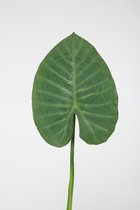 Kunstblad - Alocasia - topkwaliteit decoratie - 2 stuks - zijden blad - Groen - 110 cm hoog