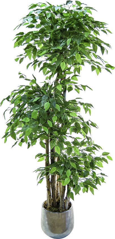 lijn Plantage Generaliseren Kamyra® Ficus Kunstplant XL - Nep Planten Ficus Groot - Plant Voor Binnen  En Buiten -... | bol.com