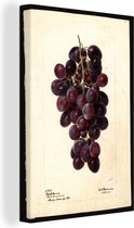 Peinture sur toile 90x140 cm - Décoration murale Raisins - peinture de Deborah Griscom Passmore - Décoration murale salon - Décoration chambre - Accessoires de chambre - Peintures