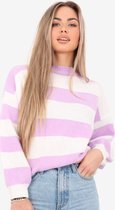 Raved Lila Sweater  - Onesize - Gestreepte Trui