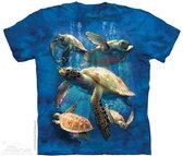 KIDS T-shirt Sea Turtle Family L