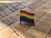 LGBTQ - Pin wapperende vlag (LGBTQIA+, pride, love, LHBTI+, LHBTIQA+, gay, trans, bi, lesbo, homo)