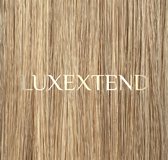 LUXEXTEND I-tip Hair Extensions #14 | 100 stuks | 100 gram