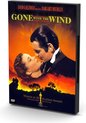 Gone with The wind (DVD)