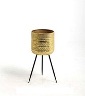 Gold Metal Pot on 3 Black Legs 25,5*25,5*54cm