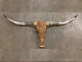 Longhoorn - Longhorn - Skull - Echt - Bali - Skulls - Dierenschedel - 150 cm