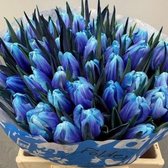 Verse Tulpen -  Blue Lagoon - 50 stuks