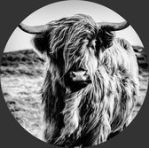 Behangcirkel Schotse hooglander in zwart | ⌀ wit | ⌀ 140cm | Wandecoratie | Wandcirkel