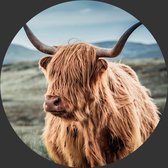 Behangcirkel Schotse hooglander in de heuvels | ⌀ 100cm | Wandecoratie | Wandcirkel