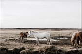 Walljar - Groep Paarden - Dieren poster