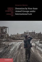 Cambridge Studies in International and Comparative Law 166 - Detention by Non-State Armed Groups under International Law
