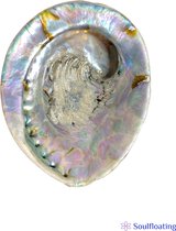 Authenthieke Abalone Schelp (XL) (17cm) - Extra Groot - Incl. Smudge handleiding NL
