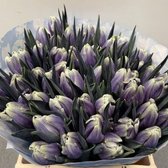 Verse Tulpen -  Purple Fresh - 50 stuks