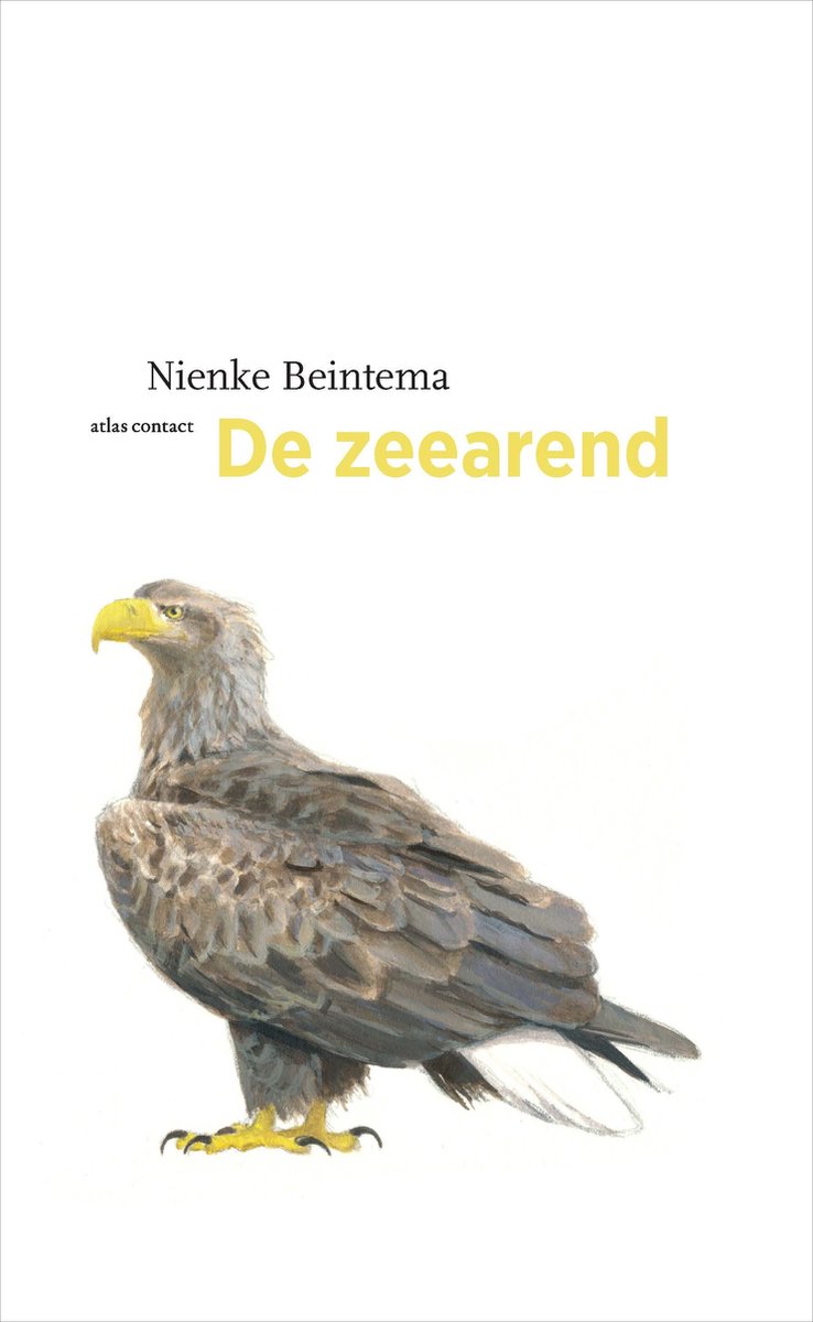 De Vogelserie 19 -   De zeearend - Nienke Beintema